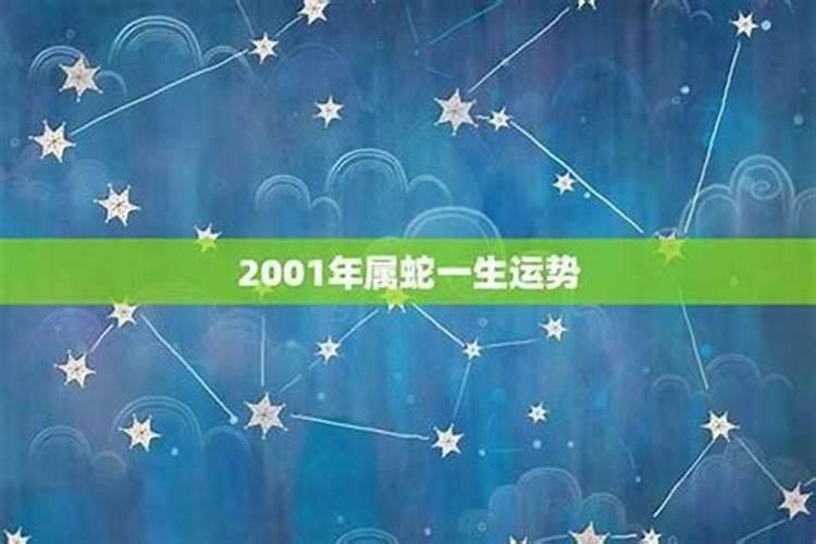 2001年出生是什么命？