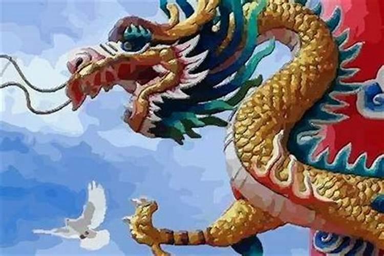 属龙的人命好不好？