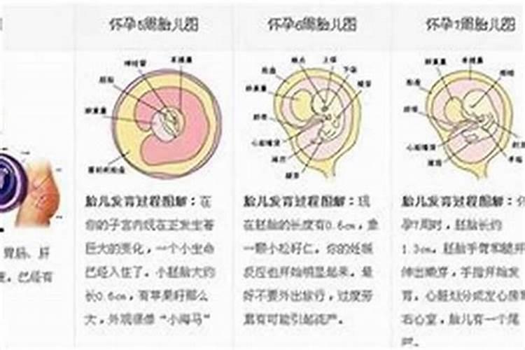 胎停与风水：探索环境能量对孕育生命的影响