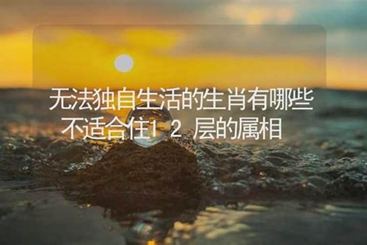 哪些属相适合住西户？