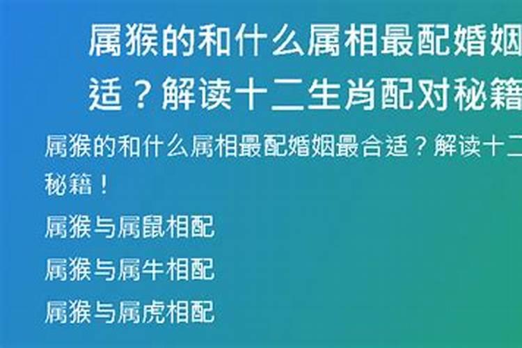 龙腾盛世：属龙人的婚姻配对秘籍