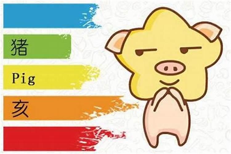 12生肖哪个最笨？