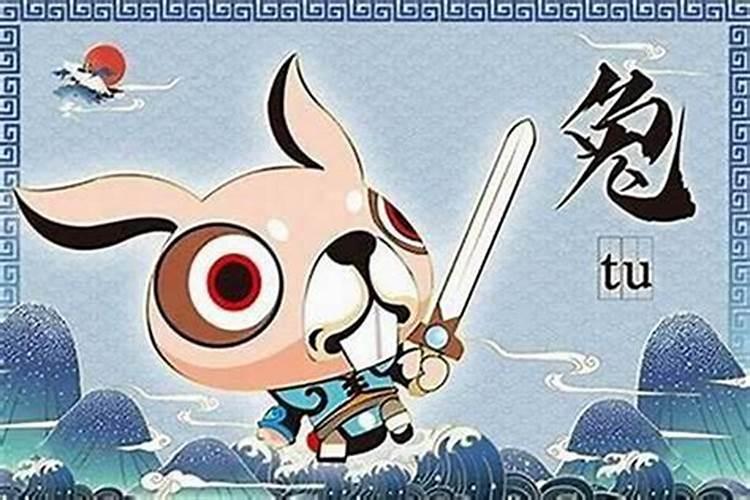 揭秘兔年生人的楼层选择：寻找最旺居住地