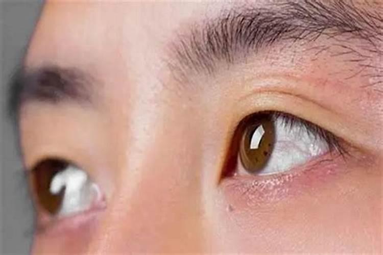中午右眼跳是什么预兆？