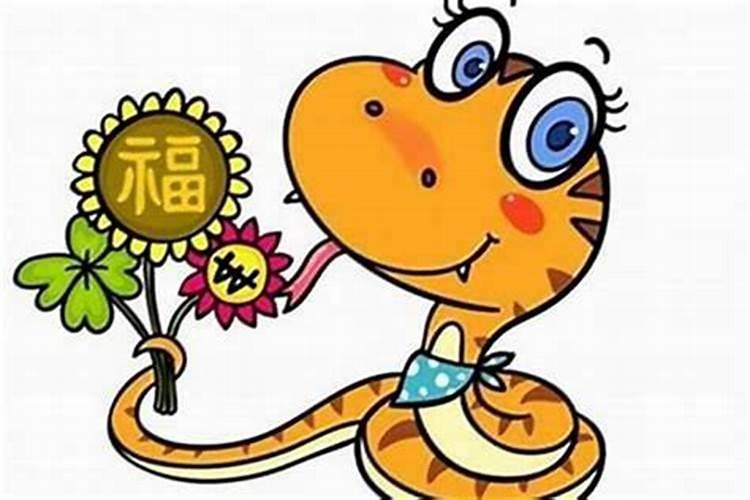 33岁是什么命？
