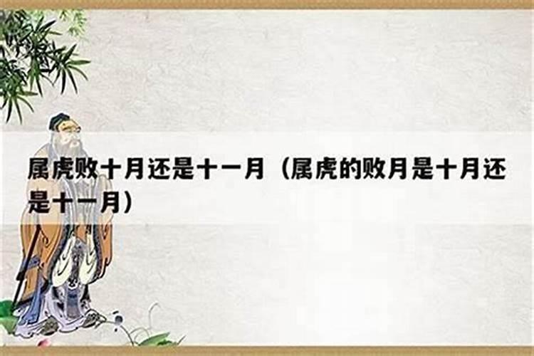 为何87年农历10月分出生的女人很命苦