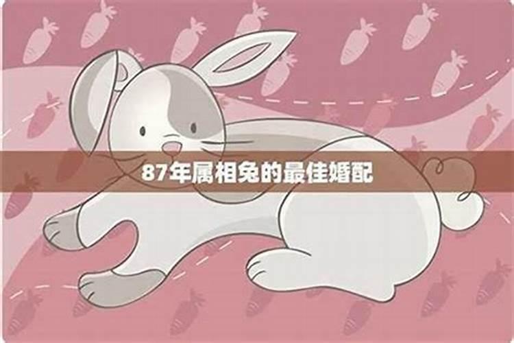 1987年10月份的兔子命好吗87年属兔36岁有一灾
