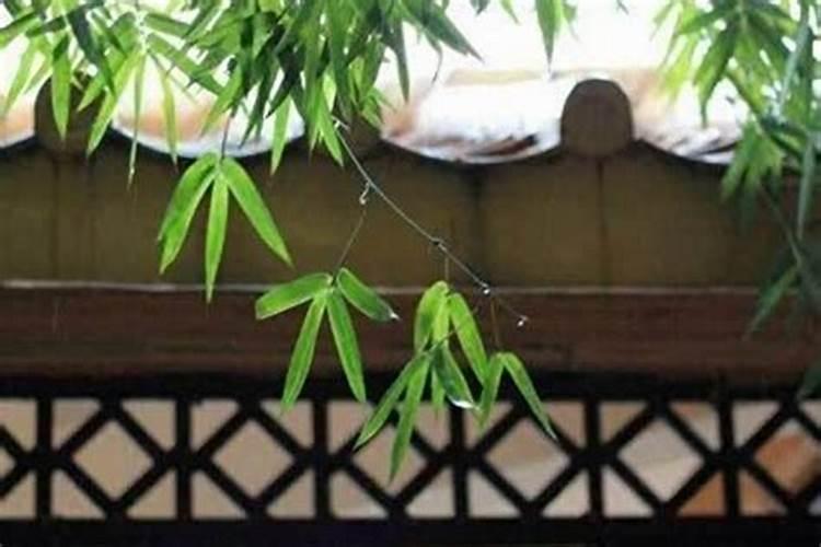 命里带官非怎么化解：风水学视角下的转运之道？