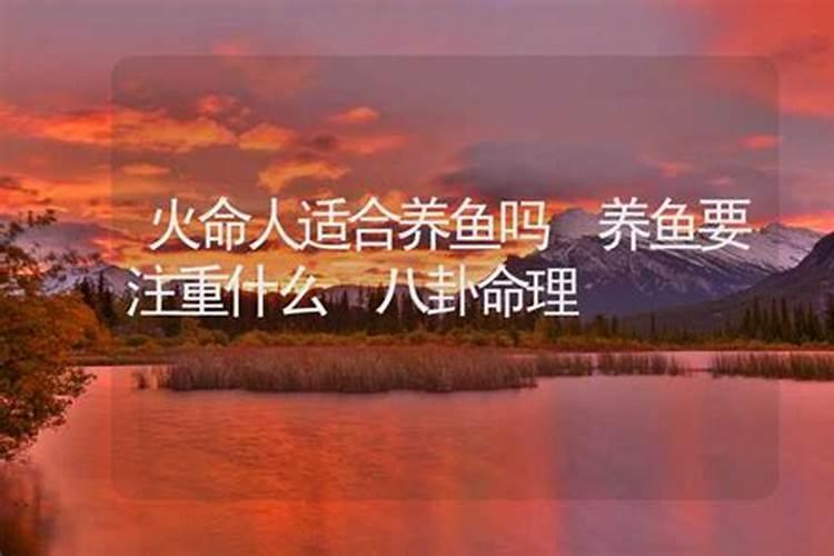 炉中火命人适合养什么鱼？