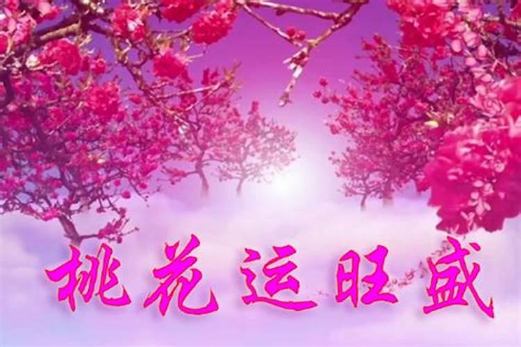 女人走桃花运是好还是坏事？