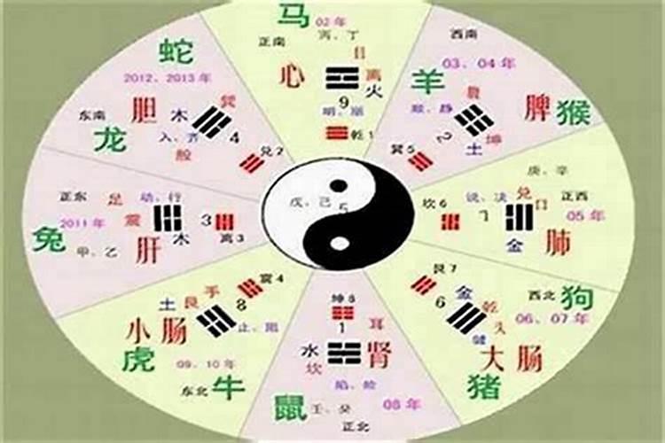 1982年是什么命年？