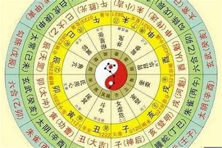 81年鸡五行属什么,五行缺什么