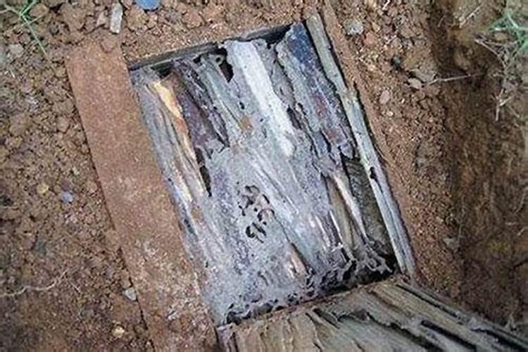 风水宝地：坟墓里有白蚁和白蚁窝好不好？