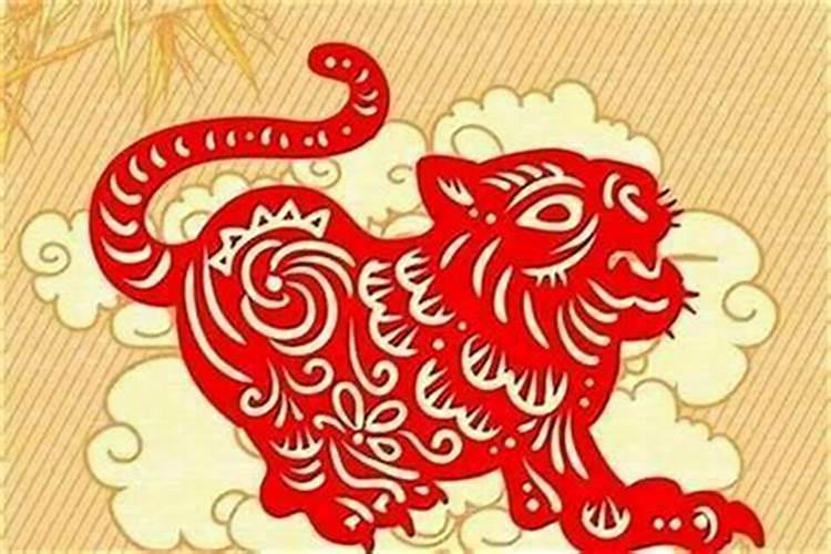 86年的虎是属于是什么命