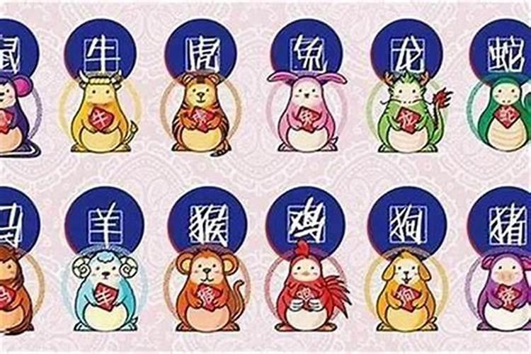 2025年哪些属相运势好？