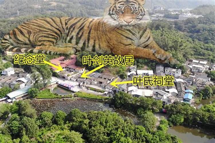 揭秘风水中的“老虎口