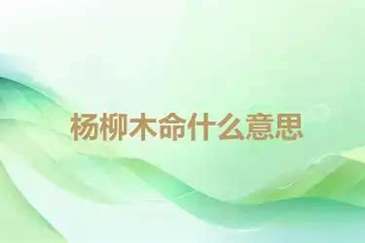 杨柳木命是什么意思？