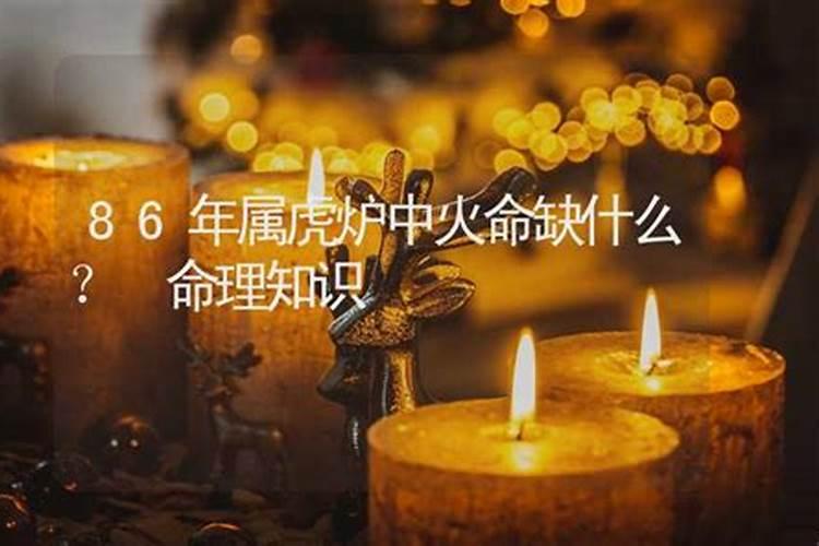 86属虎炉中火命缺什么