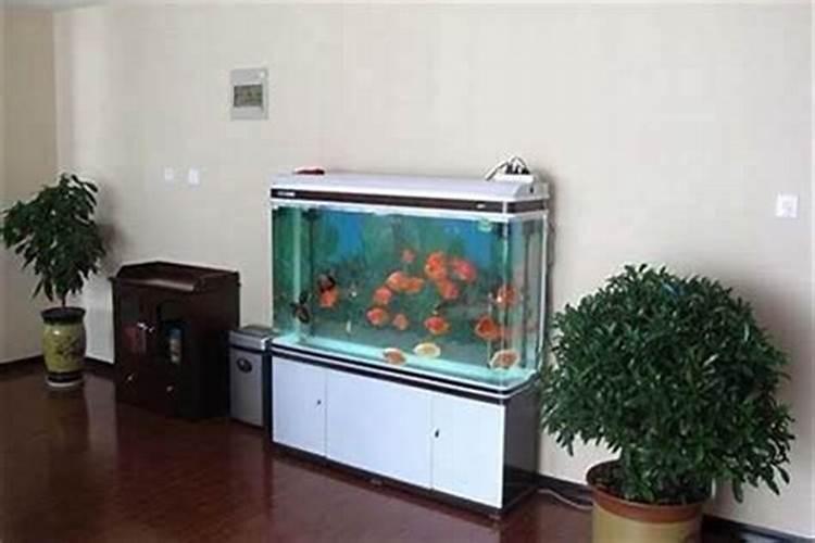 家庭鱼缸风水讲究：如何正确布置以招财纳福？
