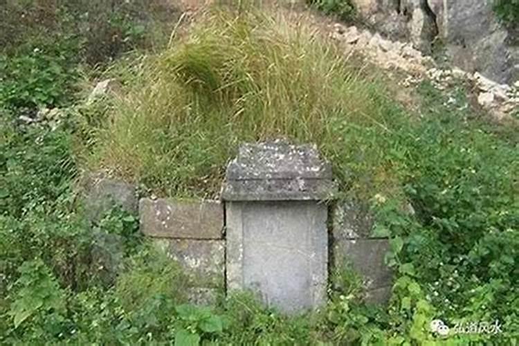 我爷爷坟上面长了一棵树,村里人都说不好,但是直接挖会惊动故人,有什么。