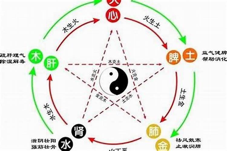 1988年属龙的是什么命五行属什么