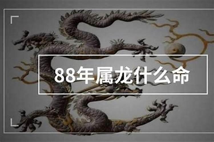 1988年属龙是什么命？