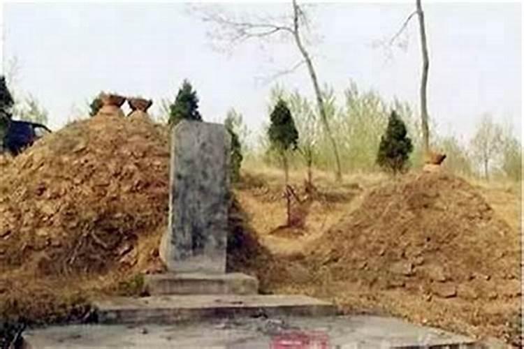 乾山巽向祖坟出什么后人？