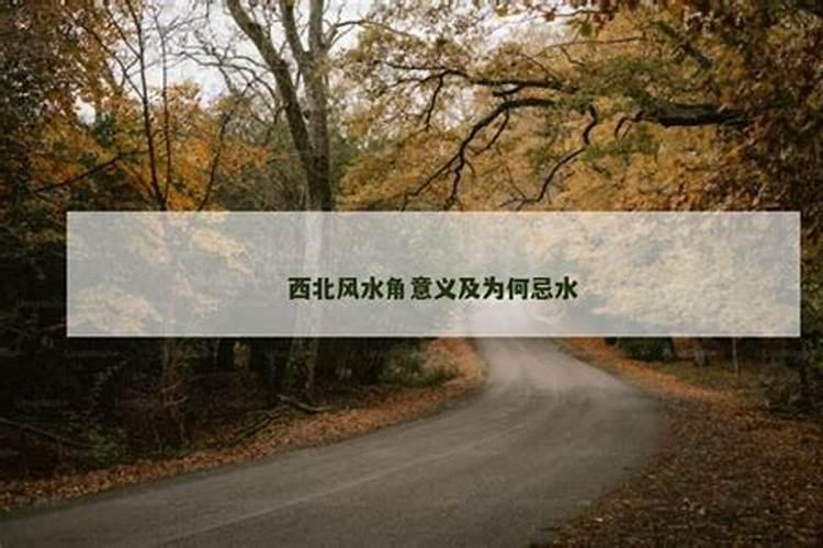 探究西北靠山的坟地风水奥义
