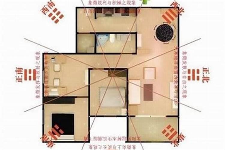 风水宝典：揭秘家中财位的神秘力量