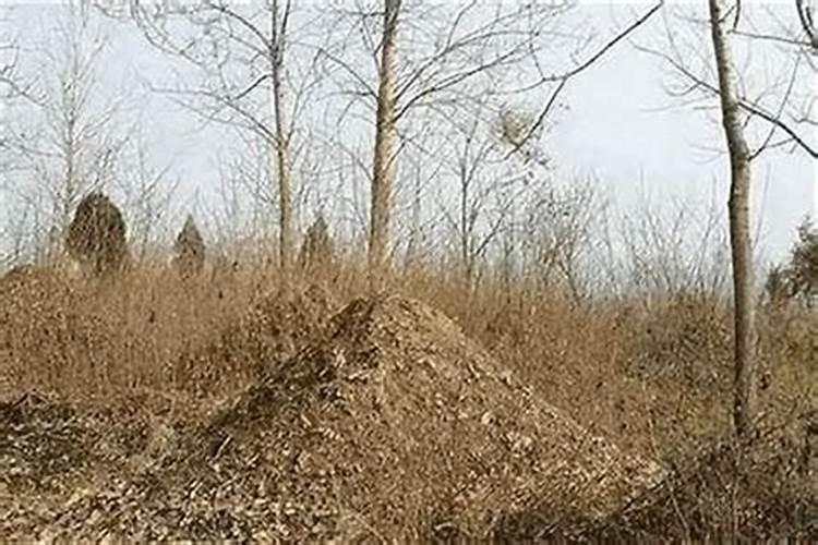 坟地被破坏的风水影响与应对策略