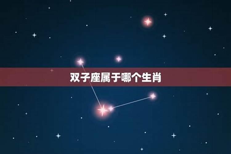 哪个生肖的双子座厉害？