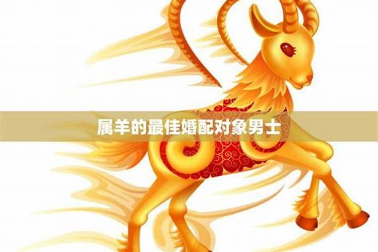 属羊最佳对象是哪些羊的最佳伴侣？