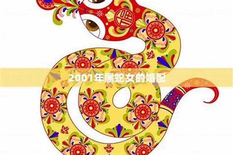 女人属蛇的最佳婚配