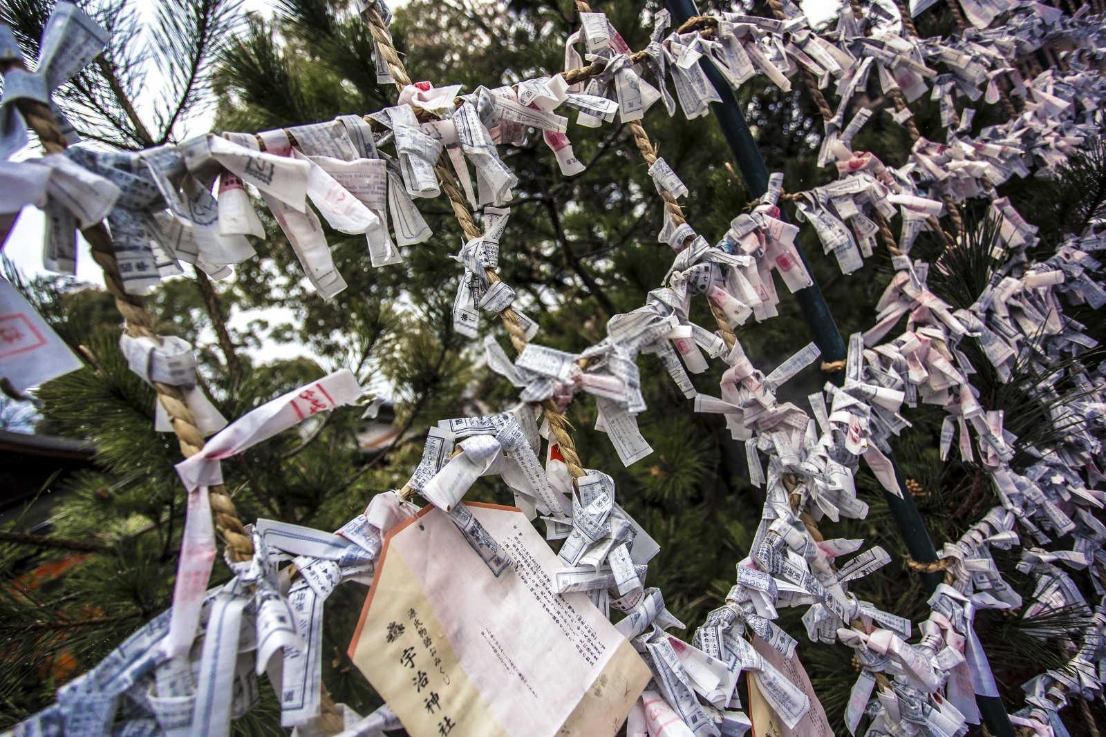 揭秘命理学：八败命的奥秘与启示