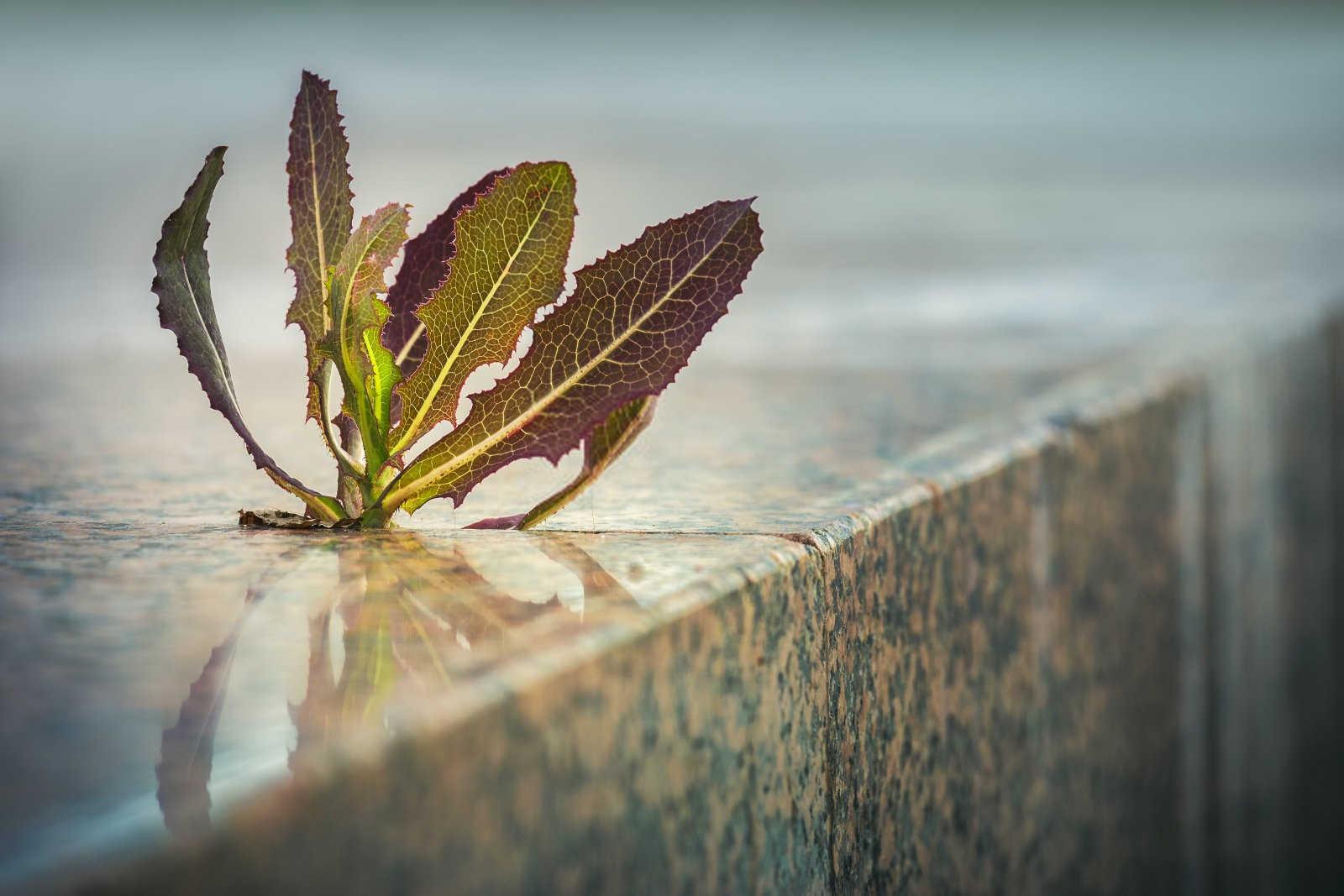 探秘阴宅风水：如何辨别墓地的风水优劣？
