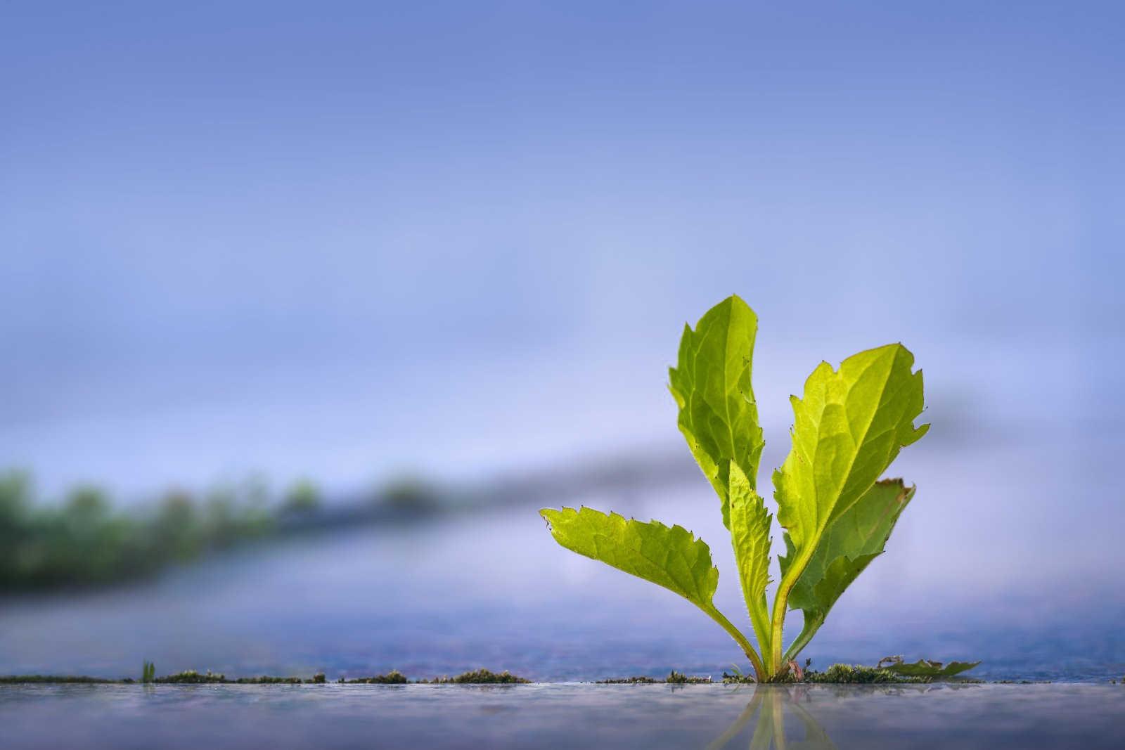 装修的禁忌有哪些：风水学视角下的家居布局？