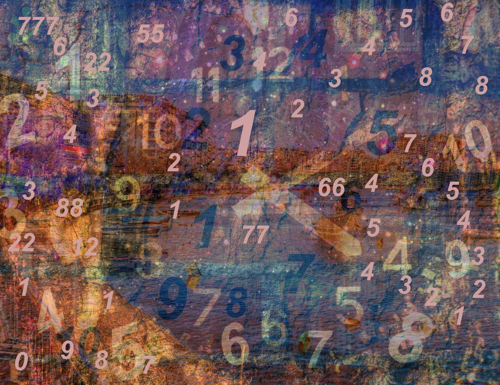 风水秘笈：揭秘厂里种什么树旺财？