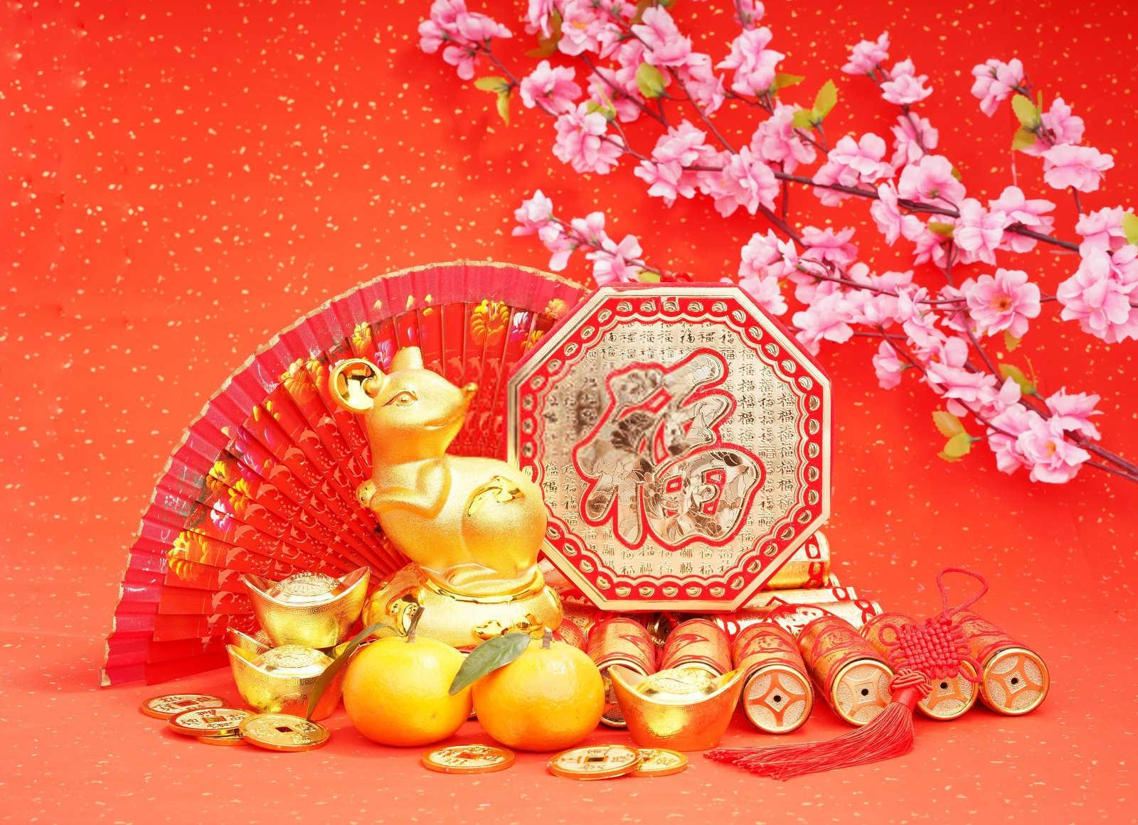 风水宝典：揭秘家中财位的神秘力量