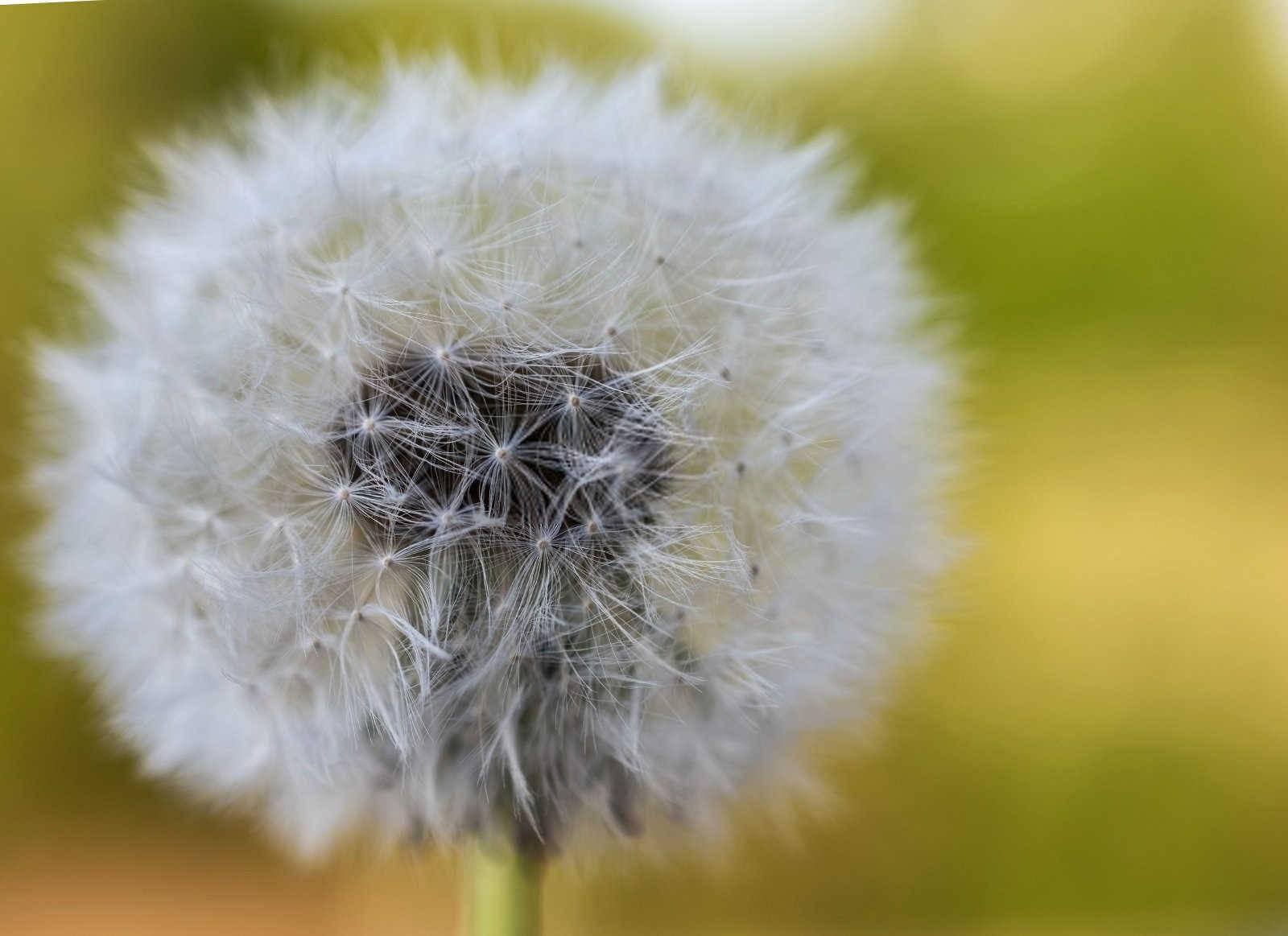 命理学视角：揭秘流年运势的奥秘