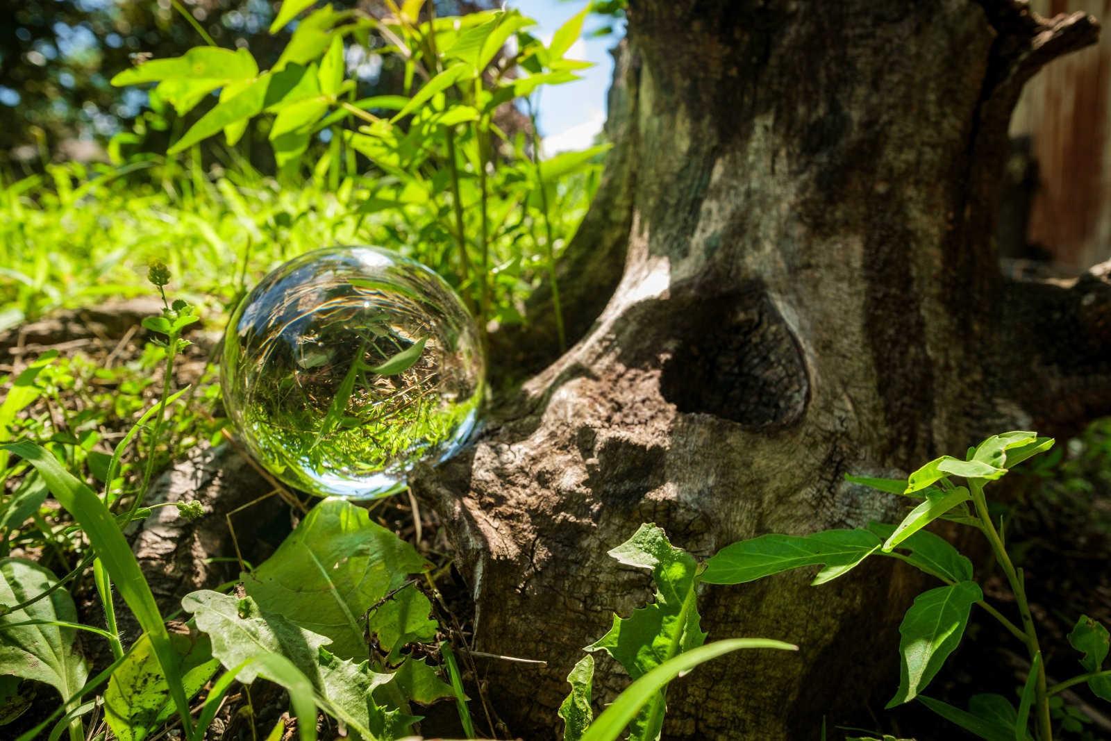 探究坟地动土的风水奥秘：时机与仪式的重要性