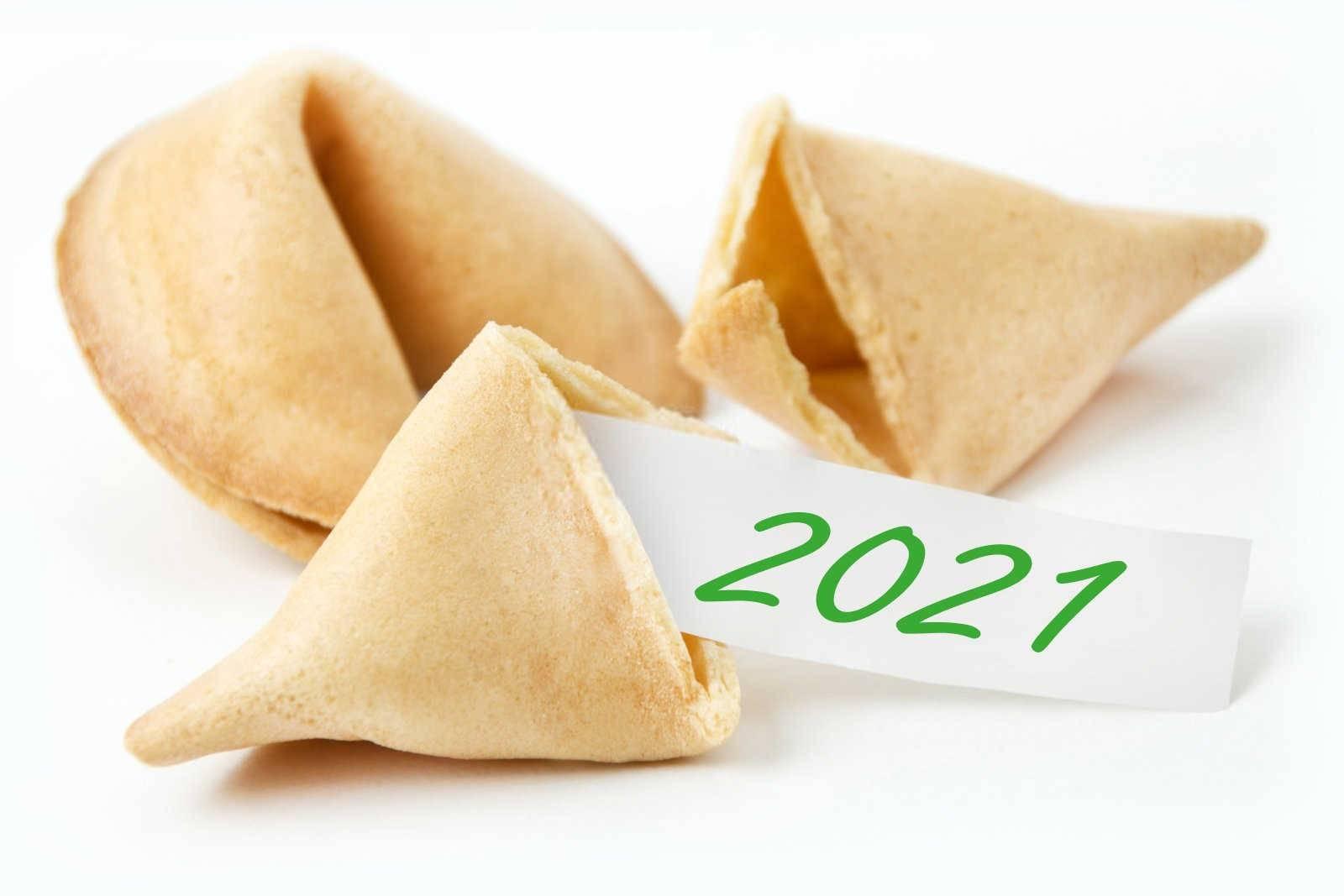 请问属兔的人今年太运势怎么样？