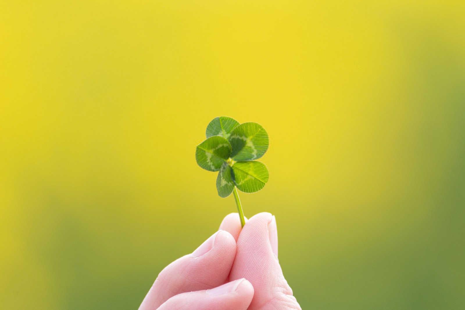 掌握命运之钥：属虎人的今年运势解析