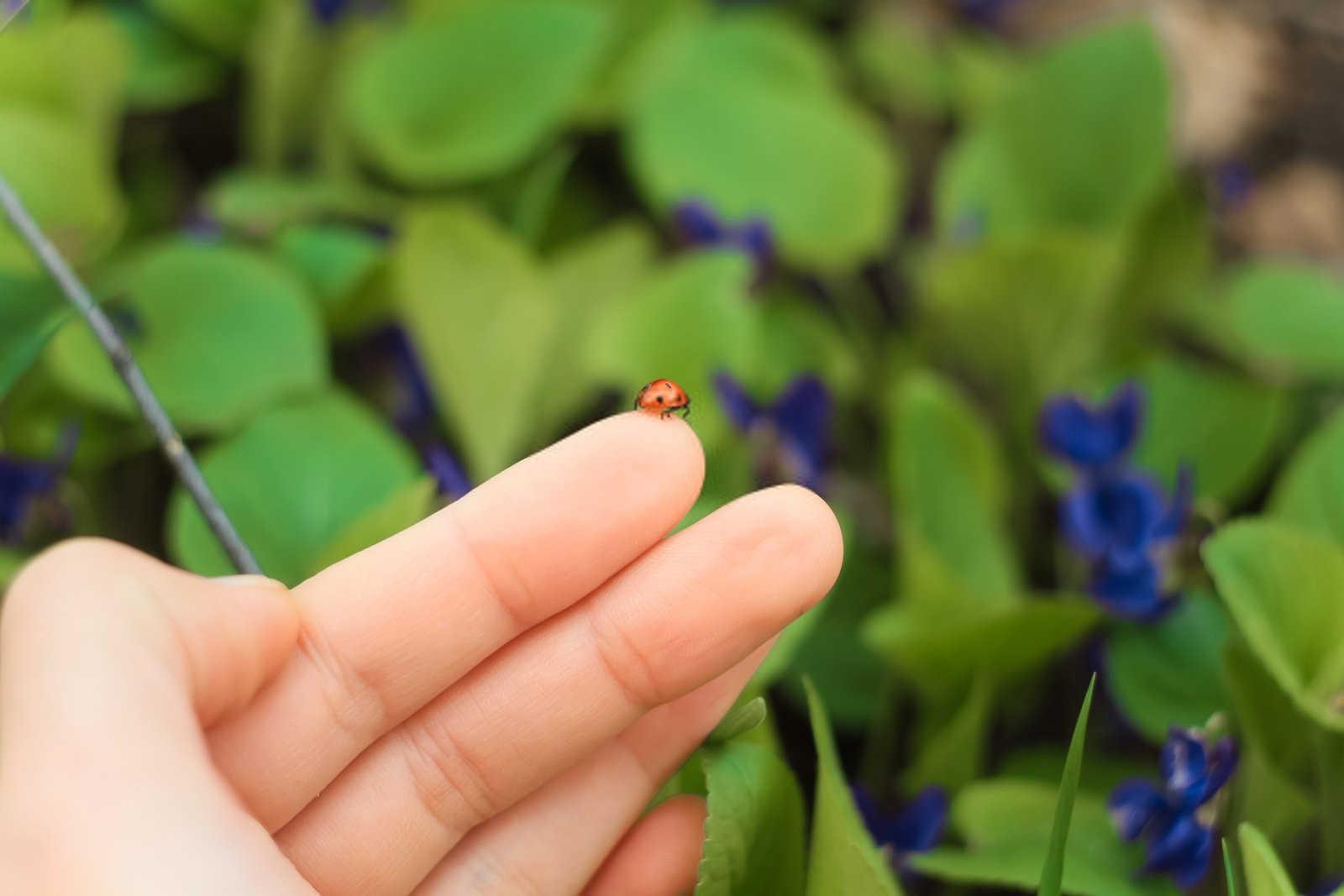 河畔居：风水学视角下的河边房子