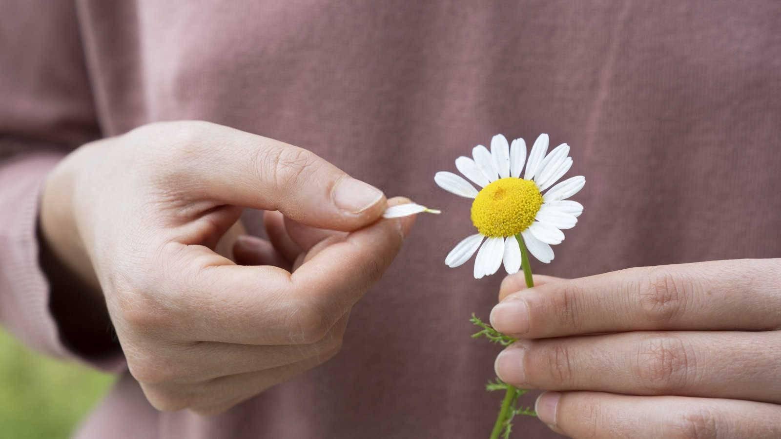 阴宅风水对儿女的影响：探索家族命运的奥秘