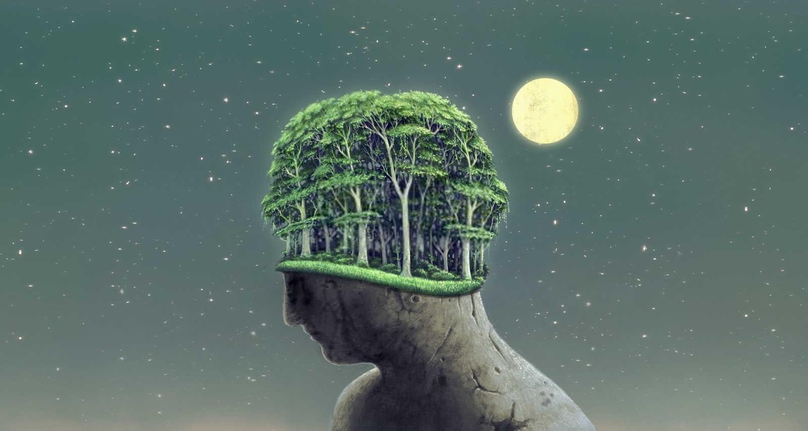 梦境探秘：梦见皮皮虾的深层含义与可能预兆？