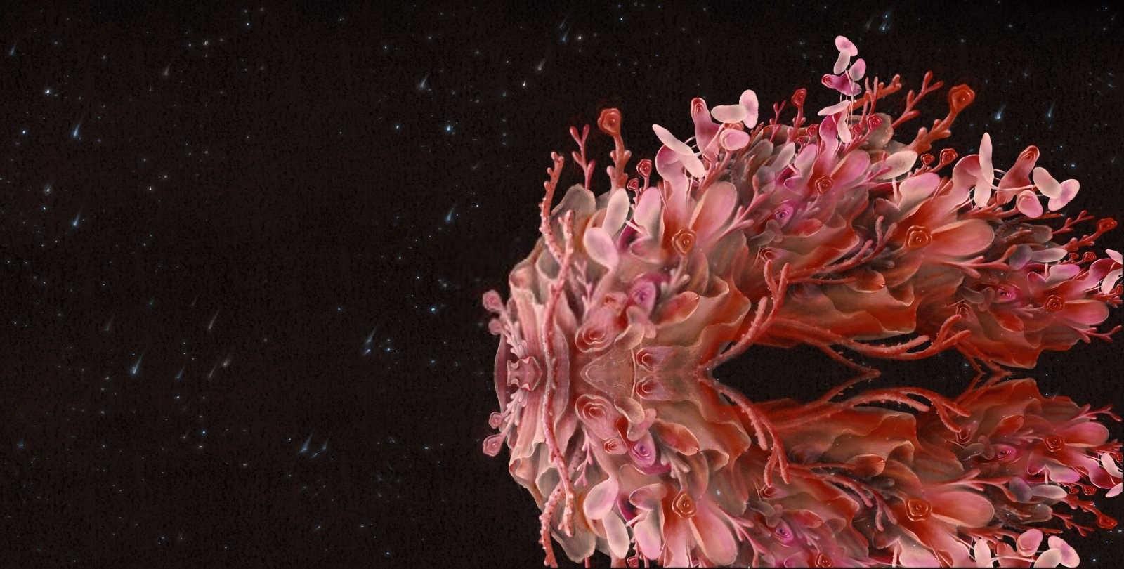 梦见朋友怀孕大肚子是什么意思？