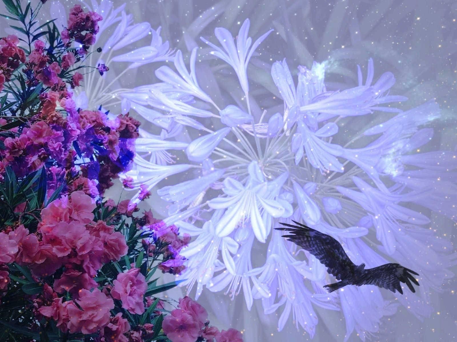 梦见吃红薯预示着什么？