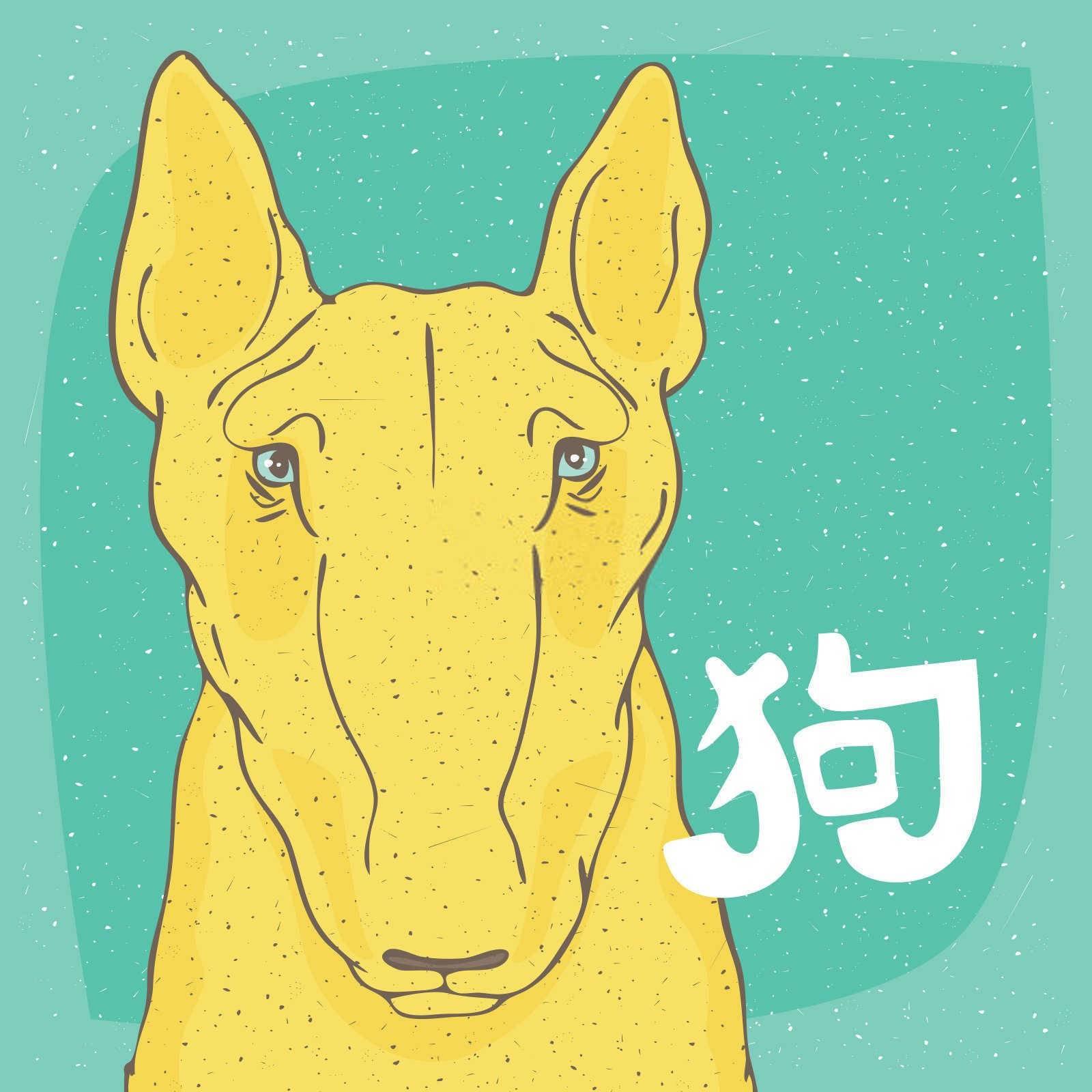 什么属相的人不能放生乌龟？