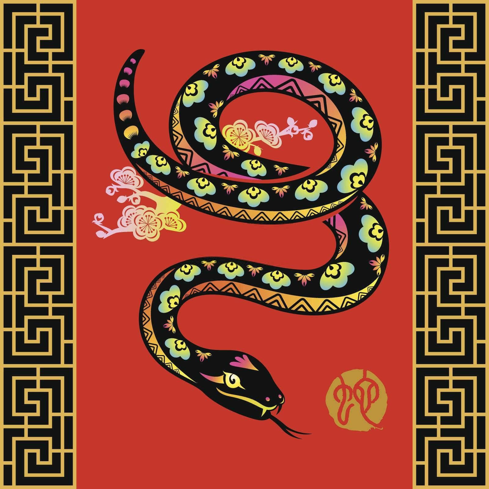 虎和兔哪个属相好？