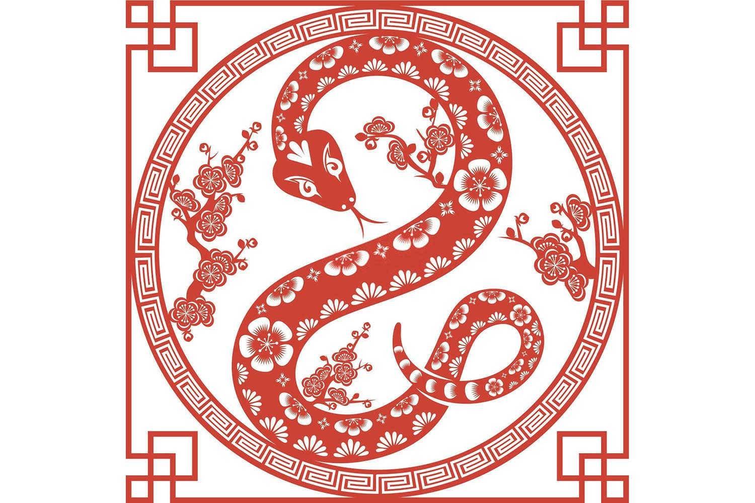 探究天赐良缘：1982属狗的最佳配偶属相